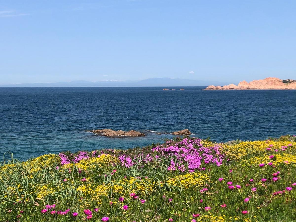 Miramare Isola Rossa 아파트 외부 사진